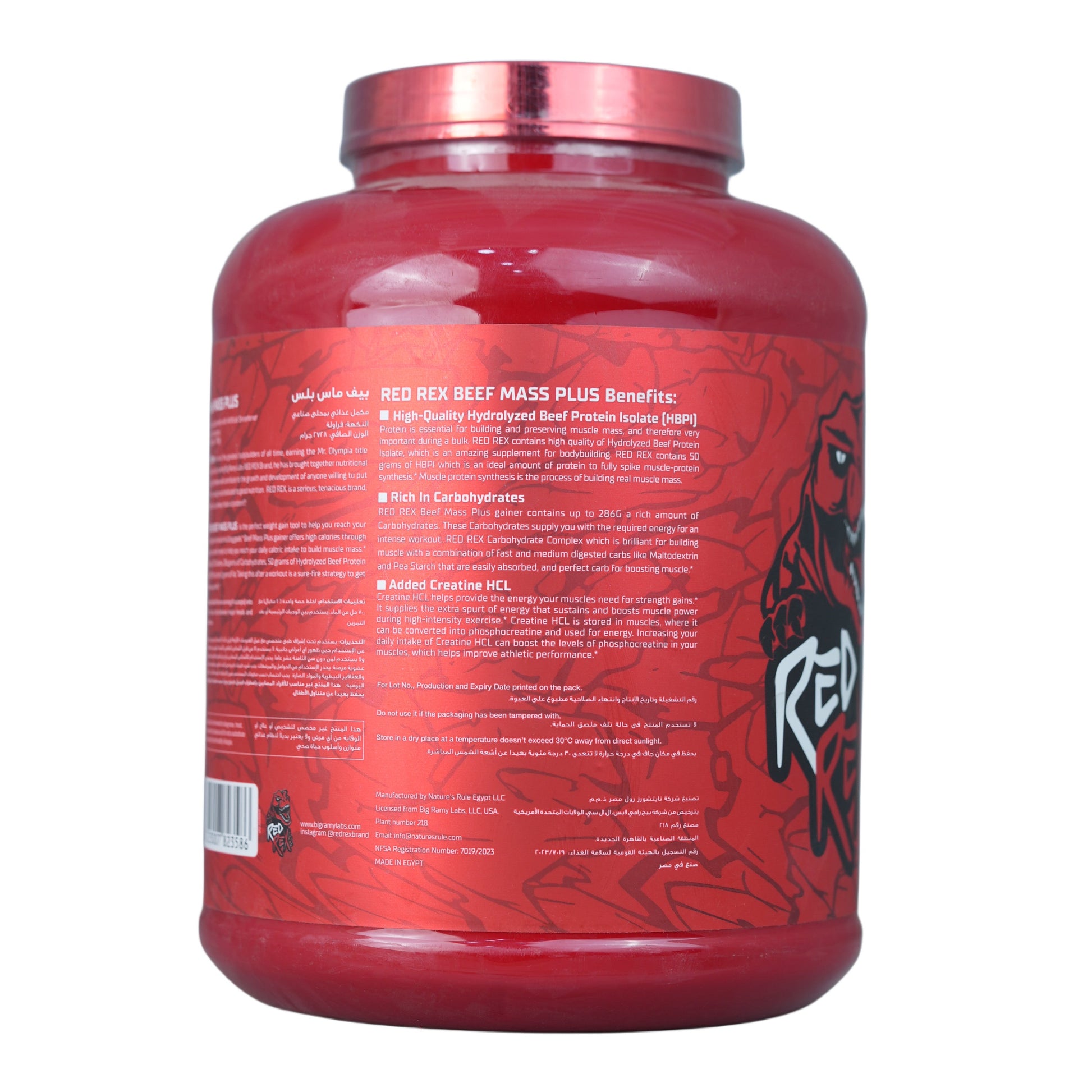 Big Ramy Labs Beef Mass Plus-8Serv.-2728g