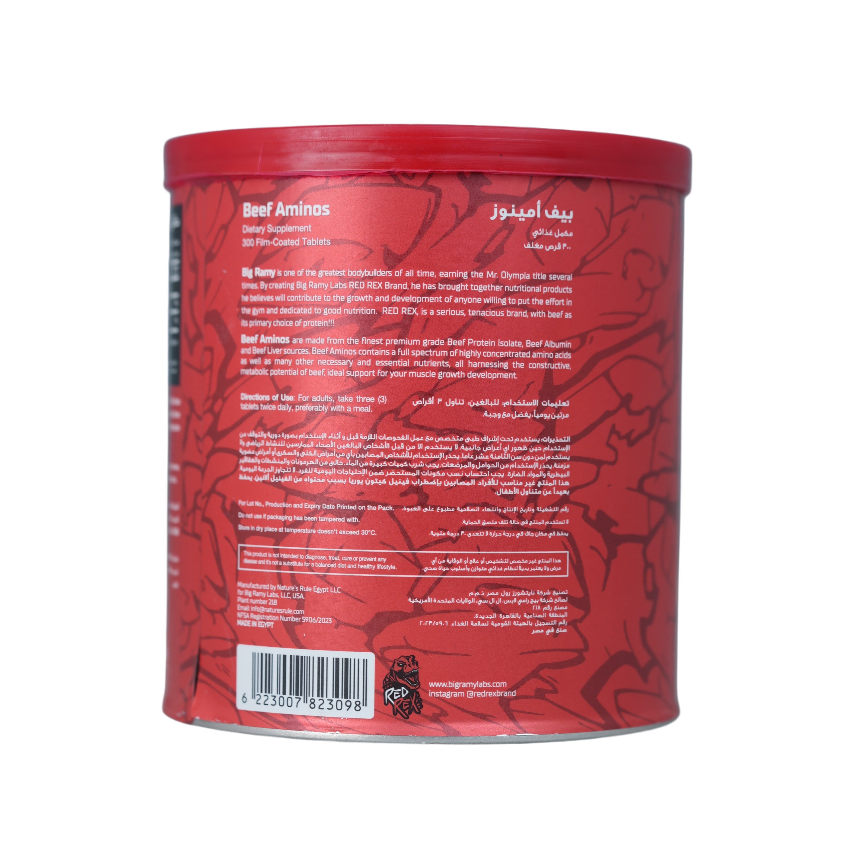 Big Ramy Labs Bcaa -30Serv.-300g