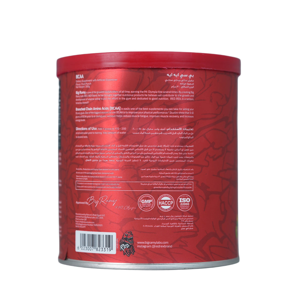 Big Ramy Labs Bcaa -30Serv.-300g