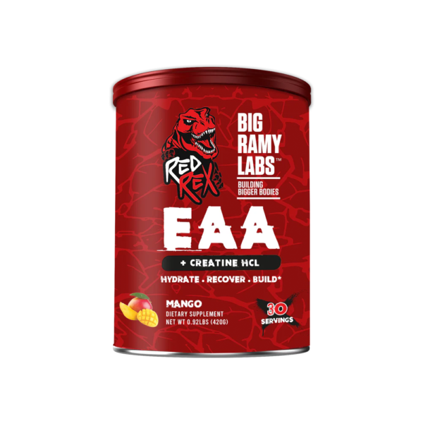 Big Ramy Labs Eaa + Creatine HCL-30Servings-420g